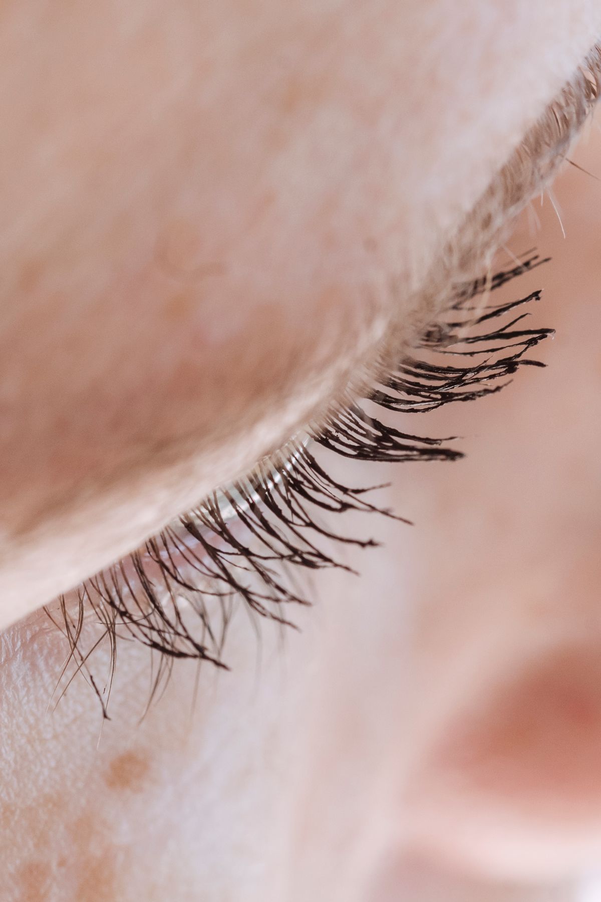 Lash services inspiration